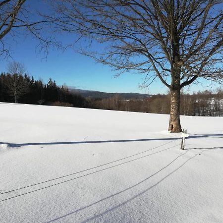 Fahrenbach-Alm Appartement Tröstau Buitenkant foto