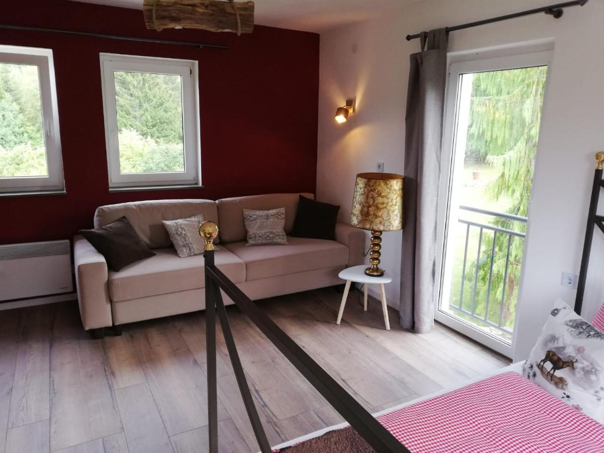 Fahrenbach-Alm Appartement Tröstau Buitenkant foto